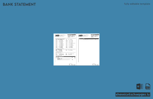 Kontoauszug der Langley Federal Credit Union (USA), Word-Dokument, 6 Seiten, Beispielvorschau